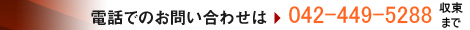 電話でのお問い合わせは、03-3291-0203